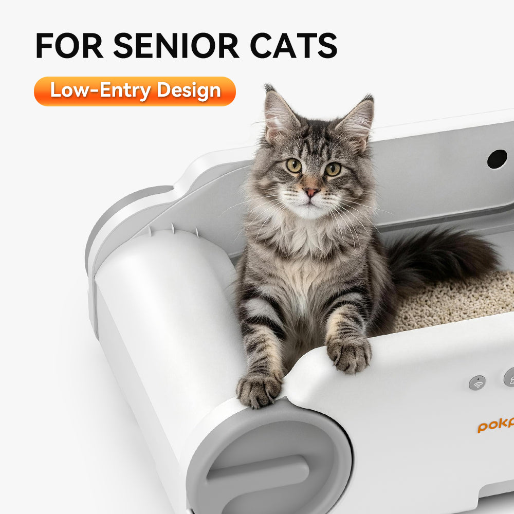Aeelleea Smart Self-Cleaning Cat Litter Box App Control Low-Entry Quiet Multi-Cat Gray