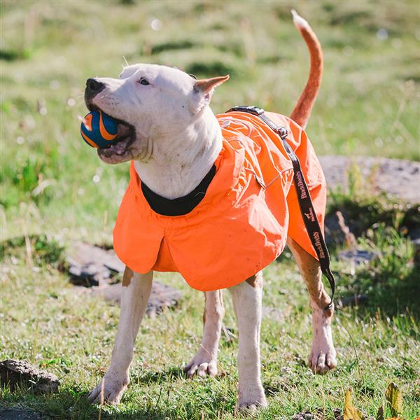 Dog Coats Small Waterproof,Warm Outfit Clothes Dog Jackets&nbsp Dog Sport Vest