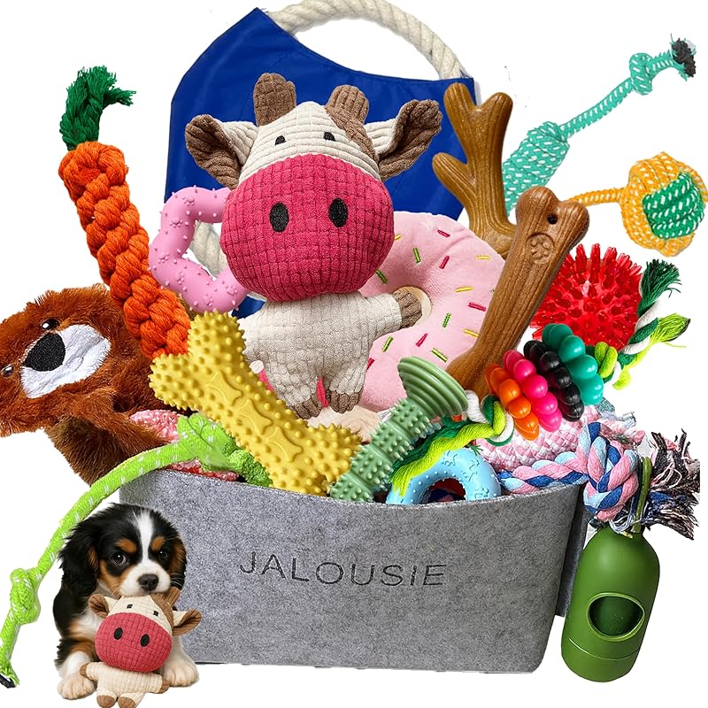 Jalousie 12 Pack Dog Squeaky Toys Cute Plush Toys for Small Medium Dog Pets