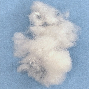 Glory To Dog Large Sherpa Plush Bunny Squeaky Interactive Fetch Dog Toy Stuffed with Fluff and Crinkly Floppy Ears for Medium to Large Breeds