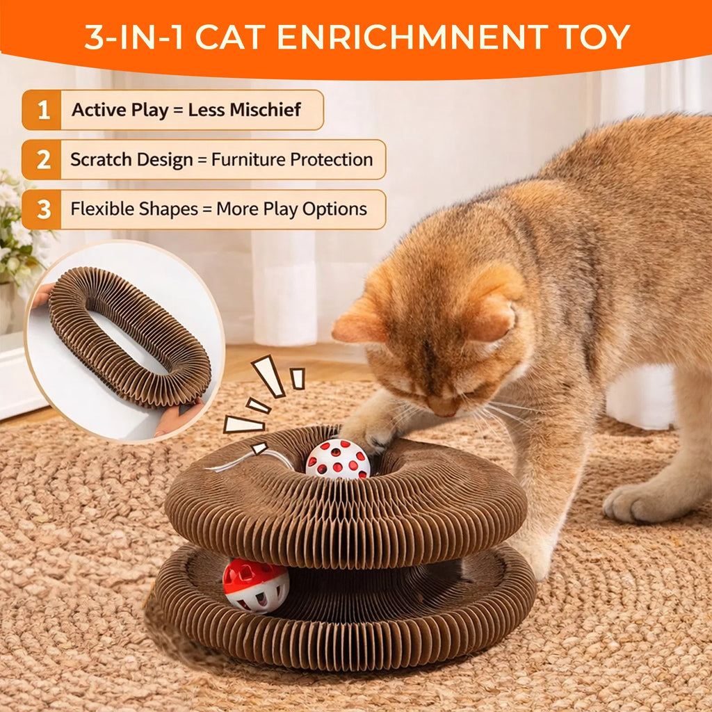 Foldable Cat Scratcher Toy with Rolling Balls, Magnetic Cardboard Interactive Cat Enrichment Toy - Brown