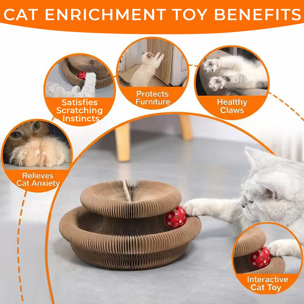 Foldable Cat Scratcher Toy with Rolling Balls, Magnetic Cardboard Interactive Cat Enrichment Toy - Brown