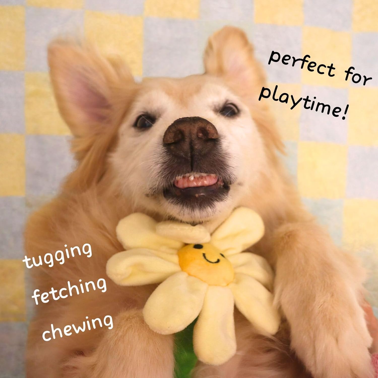 Interactive Puppy Plush Toy - Pleated Flower Rope Toy,Teething Toy Suitable for Small and Medium-sized Dogs