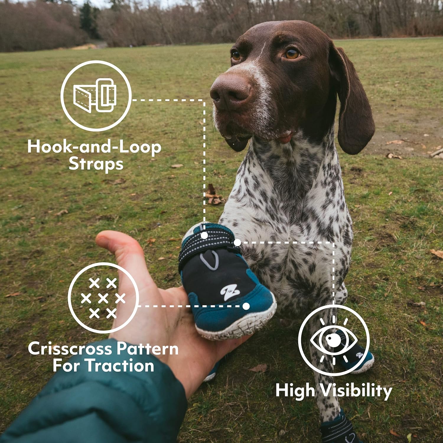 ZippyPaws Adventure Boots - Dog Shoes for Paw Protection from Hot and Cold, Dog Booties for Winter & Summer, Dog Shoes for Large & Small Dogs - Teal, XS - Size 3