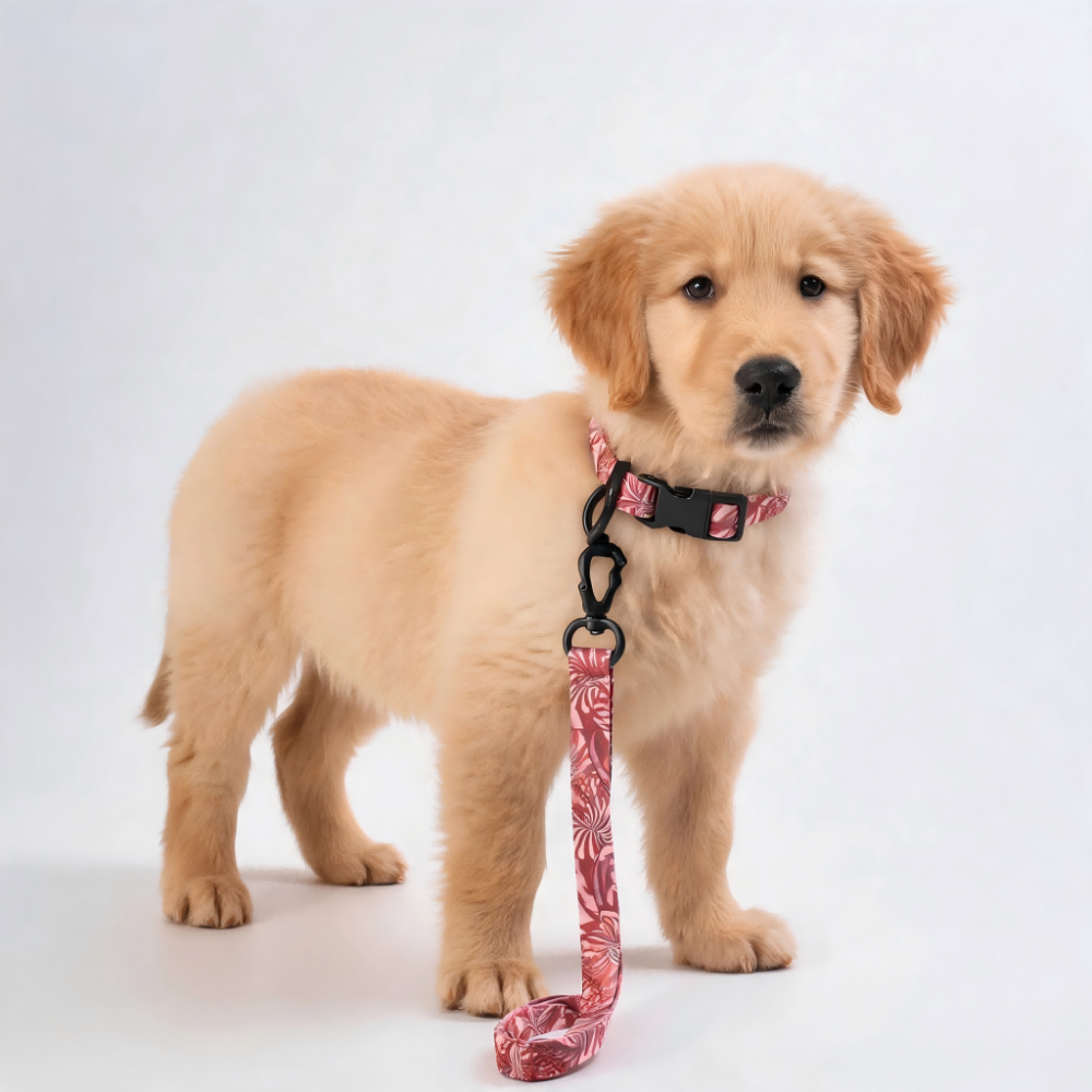 Tropical Print Dog Collar and Leash Set, Adjustable Quick Release Buckle Matching Pet Lead for Small Medium Large Dogs Walking