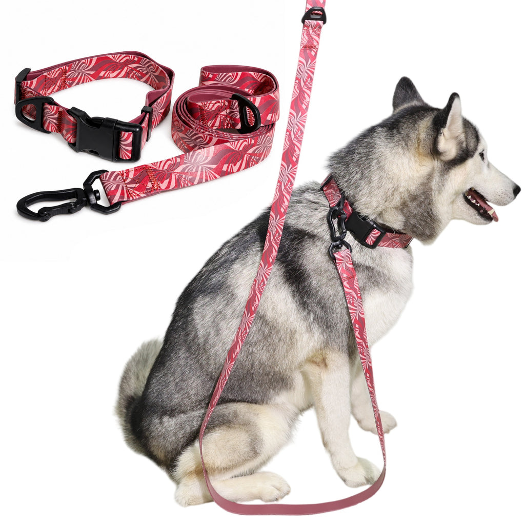 Tropical Print Dog Collar and Leash Set, Adjustable Quick Release Buckle Matching Pet Lead for Small Medium Large Dogs Walking