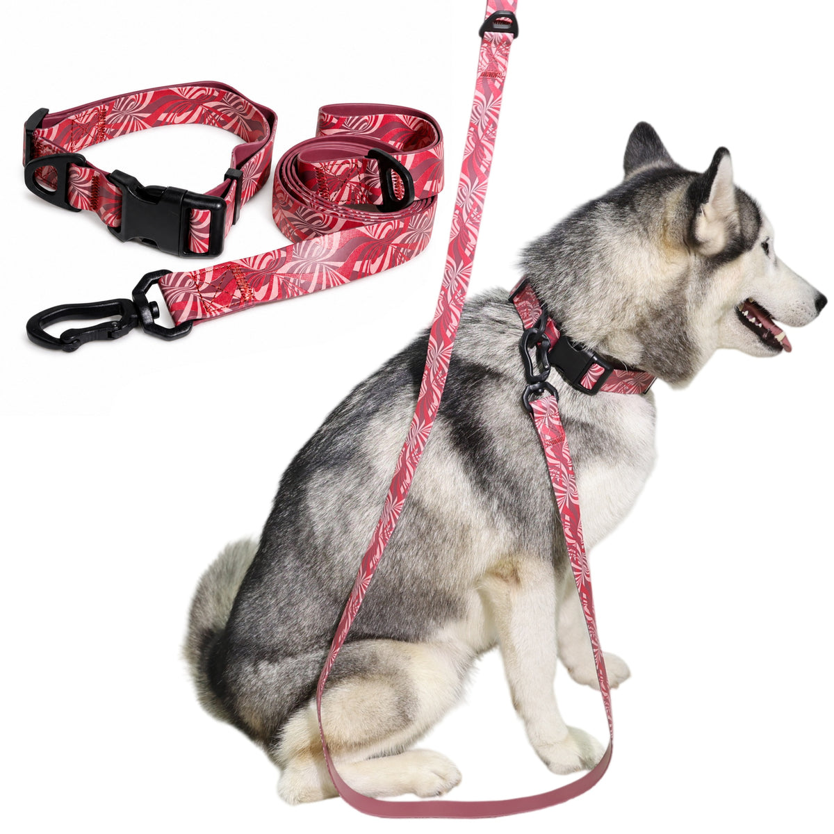 Tropical Print Dog Collar and Leash Set, Adjustable Quick Release Buckle Matching Pet Lead for Small Medium Large Dogs Walking