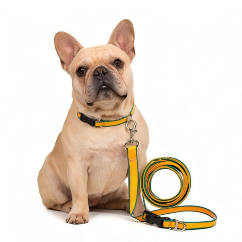Waterproof PVC Coated Webbing Dog Leash with 360° Swivel Heavy Duty Zinc Buckle, Durable Pet Walking Training Lead for Medium Large Dogs, Multiple Bright Color Options