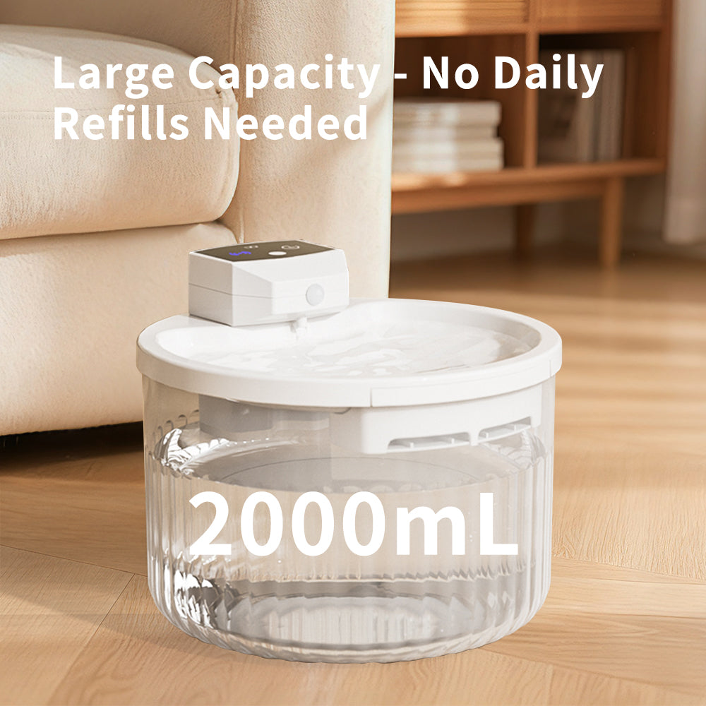 Automatic Cat Water Fountain – 2000mL Transparent Tank with Motion Sensor, No Daily Refills Needed, Leak-Proof Quiet Pump Design