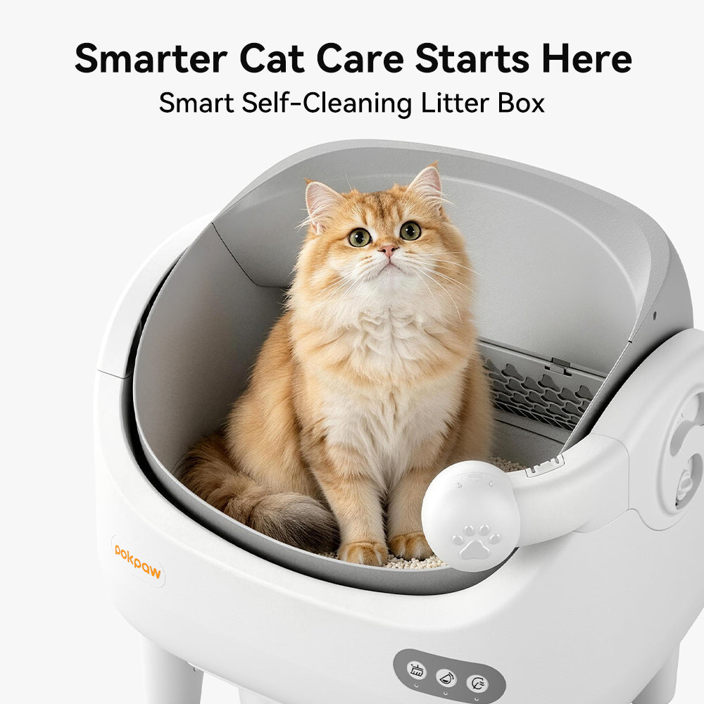 Aeelleea Smart Self-Cleaning Cat Litter Box Open-Top Deodorizing App Control Multi-Cat