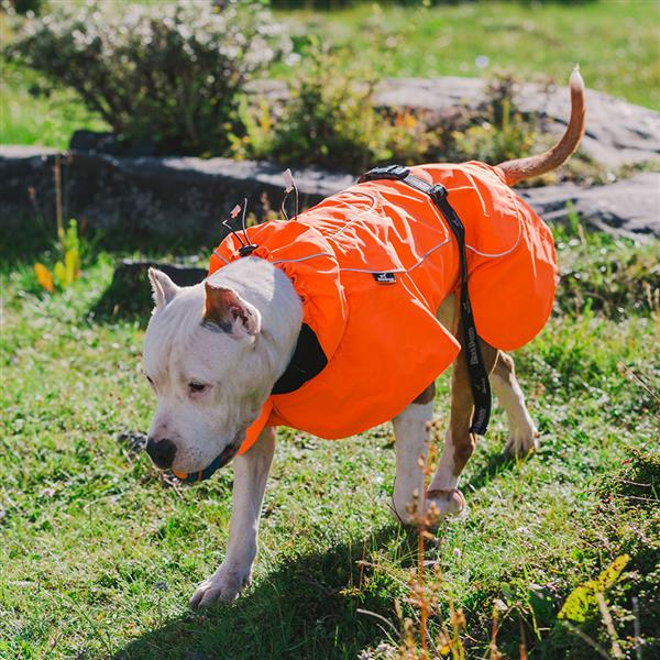 Dog Coats Small Waterproof,Warm Outfit Clothes Dog Jackets&nbsp Dog Sport Vest