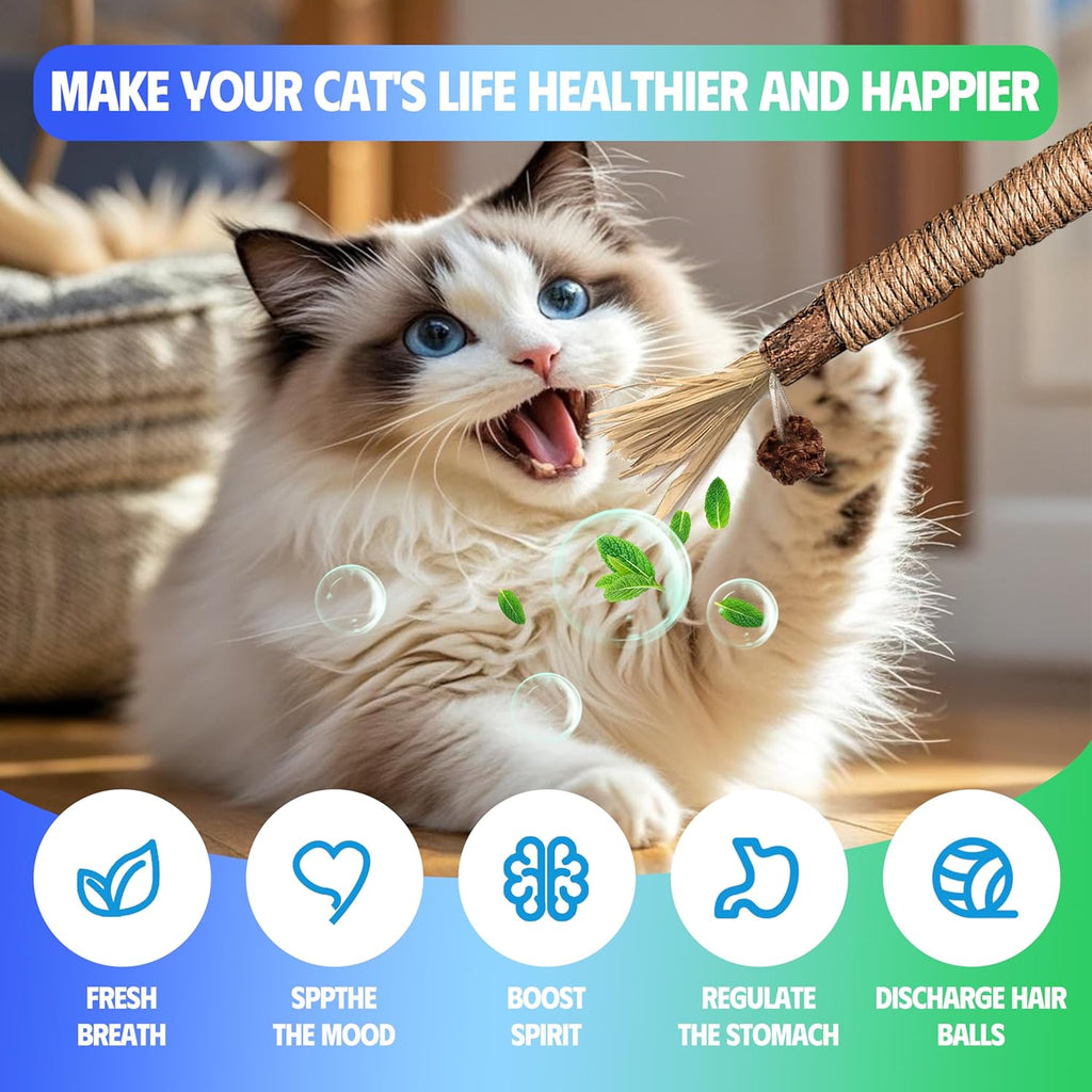 9 Pcs Cat Chew Rope Toys with Natural Catnip, Interactive Teeth Cleaning Toys for Indoor Cats, Silvervine & Sisal Kitty Toys for All Breeds