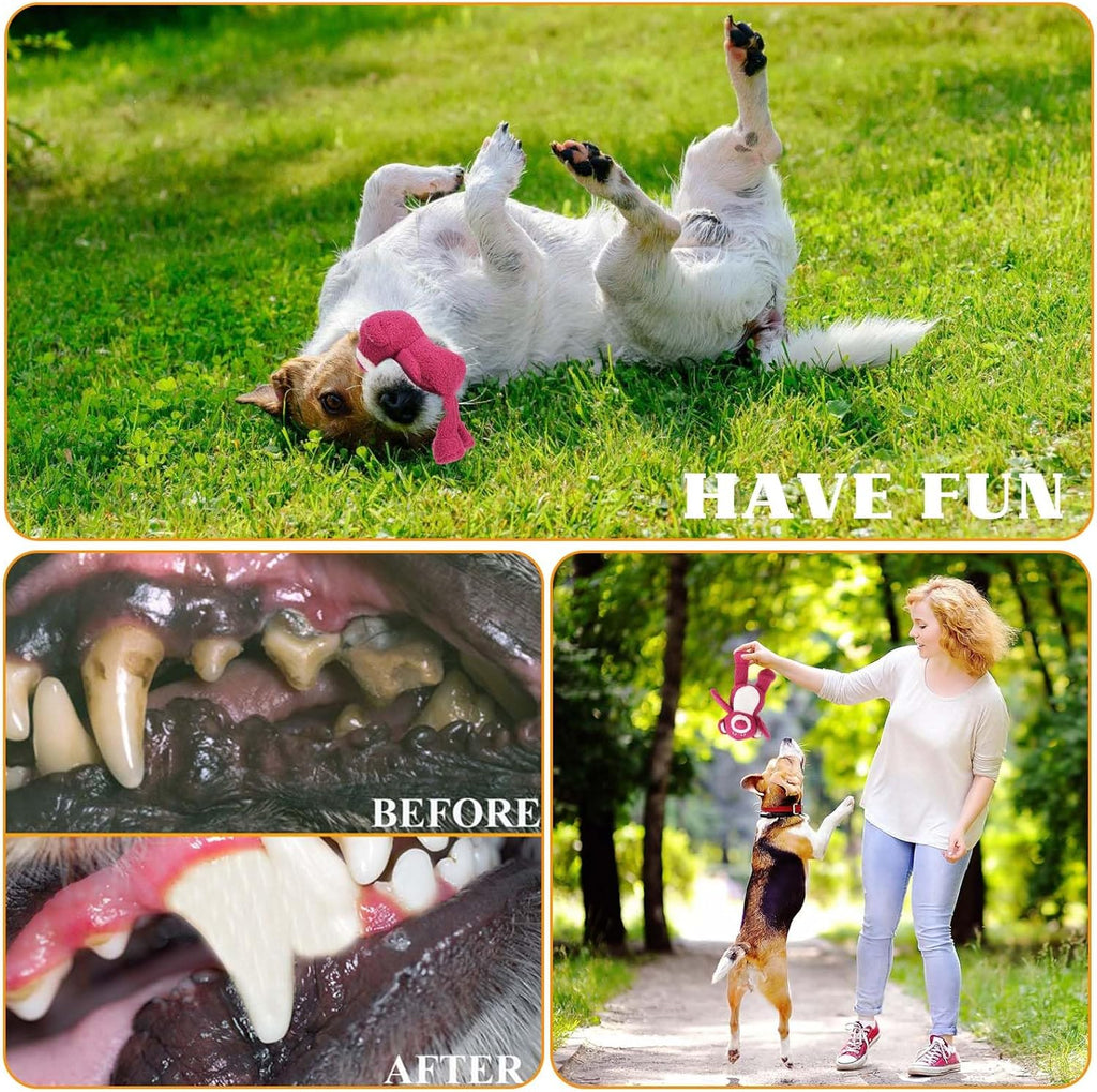 3-Layered Stuffed Dog Toys for Medium Large Dogs, Large Plush Squeaky Dog Toys to Keep Them Busy for Small Medium Large Breed, Cute Animals Puppy Teething Chew Toys - Pink Bear L