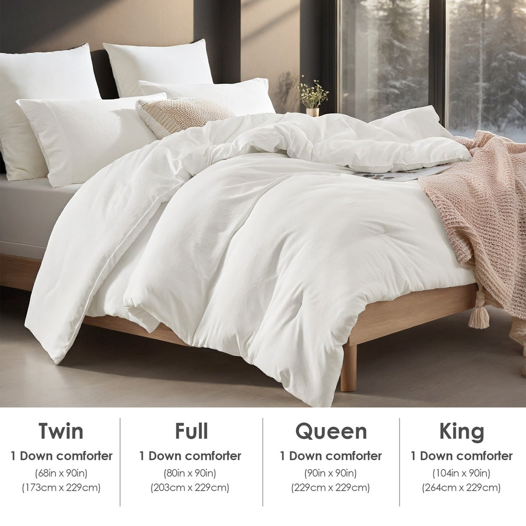 AEELLEEA 2 Pack All Season Polyester Brushed Comforter Inserts, Soft Cotton-Look Duvet Core, Breathable Lightweight Bed Comforters for Bedroom & Dorm