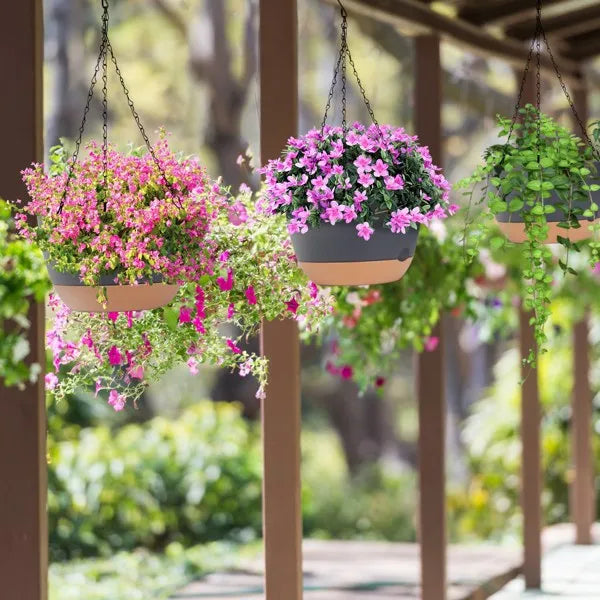 4 Pack Minimalist Hanging Planters, Indoor Wall Hanging Flower Pots for Succulent, Pothos, Home Decor