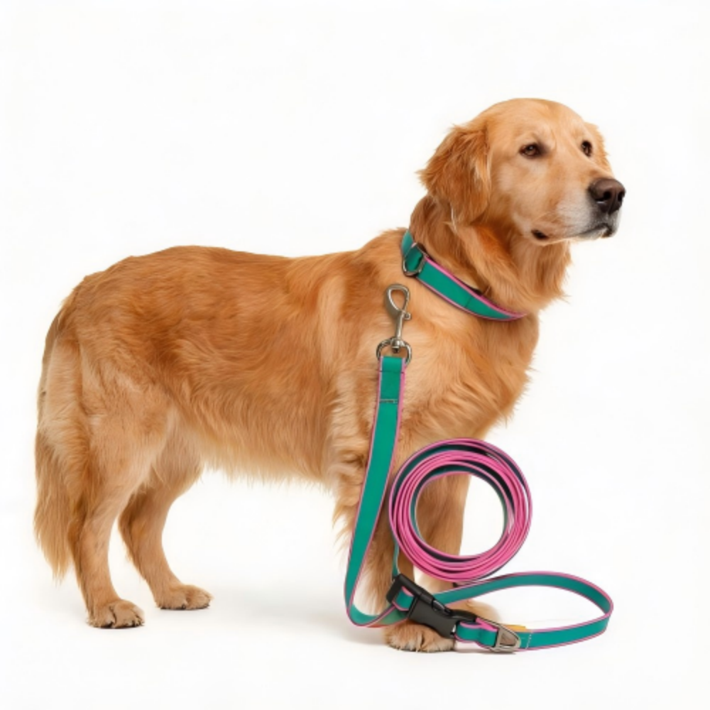 Waterproof PVC Coated Webbing Dog Leash with 360° Swivel Heavy Duty Zinc Buckle, Durable Pet Walking Training Lead for Medium Large Dogs, Multiple Bright Color Options