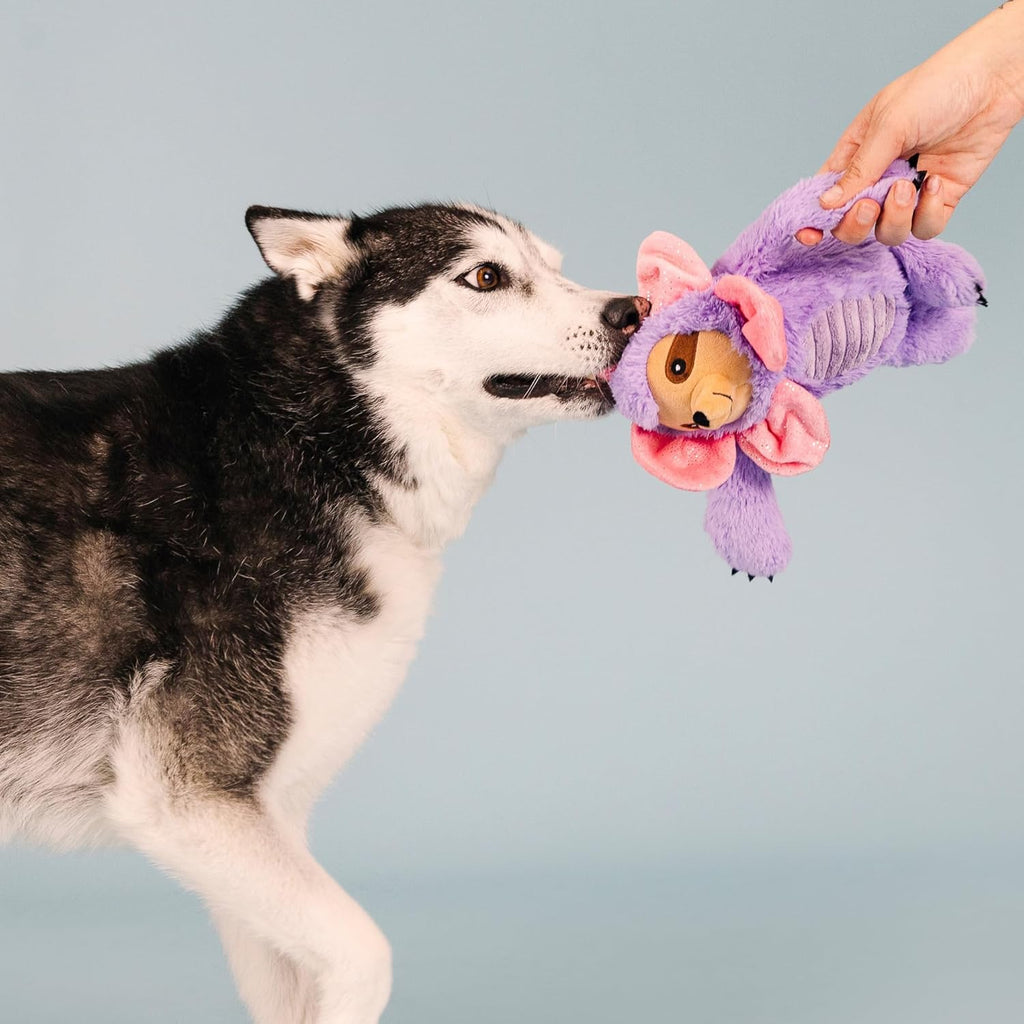 Fringe Studio Plush Dog Toy, I'll Grow On You, Pet Shop Collection (314199)