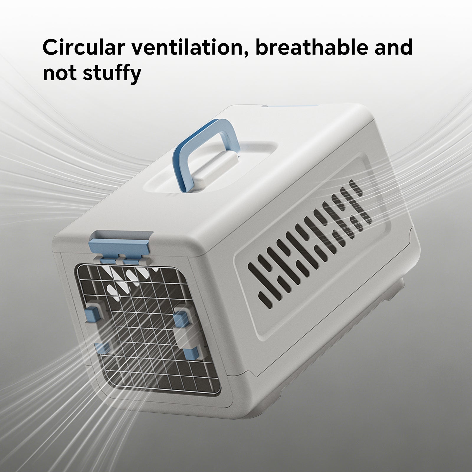 Small Hard Sided Pet Carrier, Portable Ventilated Travel Crate with Metal Door and Handle for Small Dogs and Cats, Perfect for Car Rides, Vet Visits and Daily Use