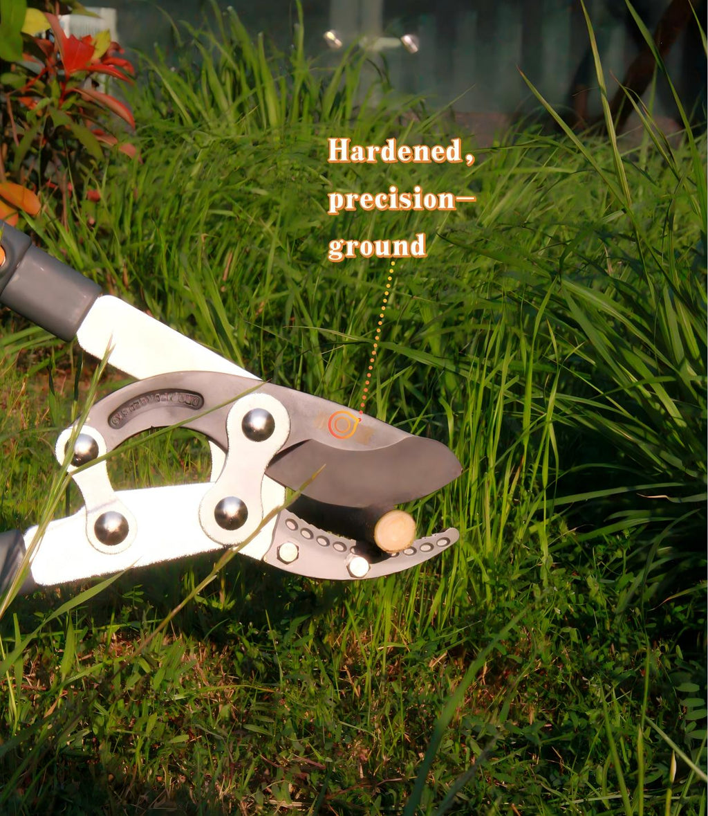 Telescoping Anvil Loppers, Heavy Duty Tree Trimmer, 27-41'' Adjustable Aluminum Handle, Pruning Loppers for Thick Branches up to 2 Inch