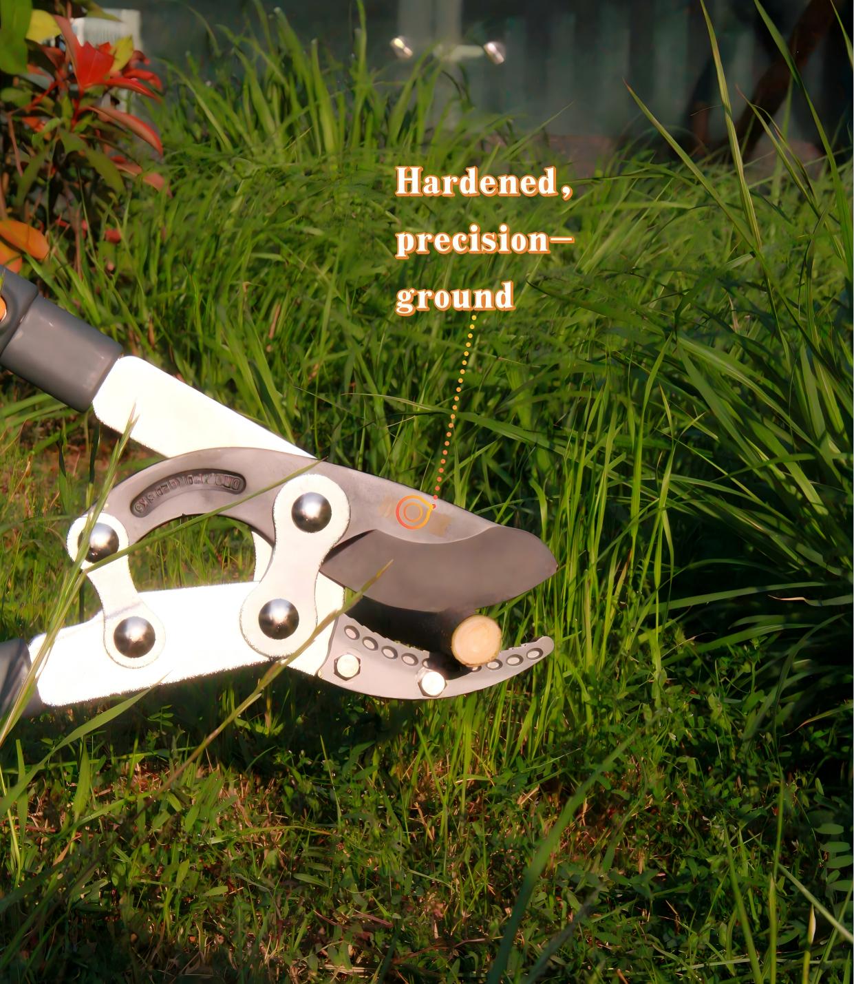 Telescoping Anvil Loppers, Heavy Duty Tree Trimmer, 27-41'' Adjustable Aluminum Handle, Pruning Loppers for Thick Branches up to 2 Inch