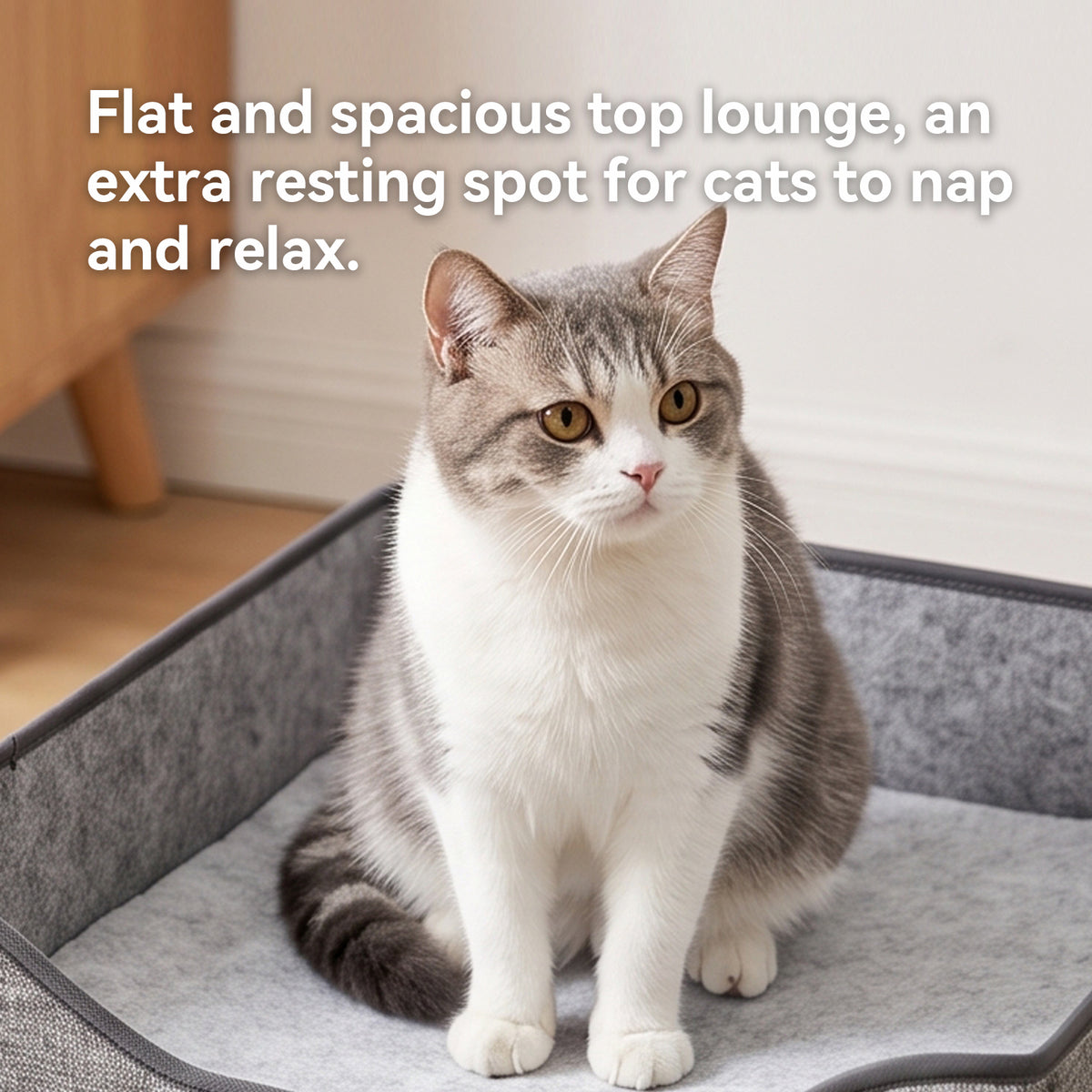 3-in-1 Foldable Cat House, Enclosed Cat Cave Bed with Scratching Pad & Hanging Pom-Pom Toy, Multi-Functional Cat Hideaway for Indoor Cats