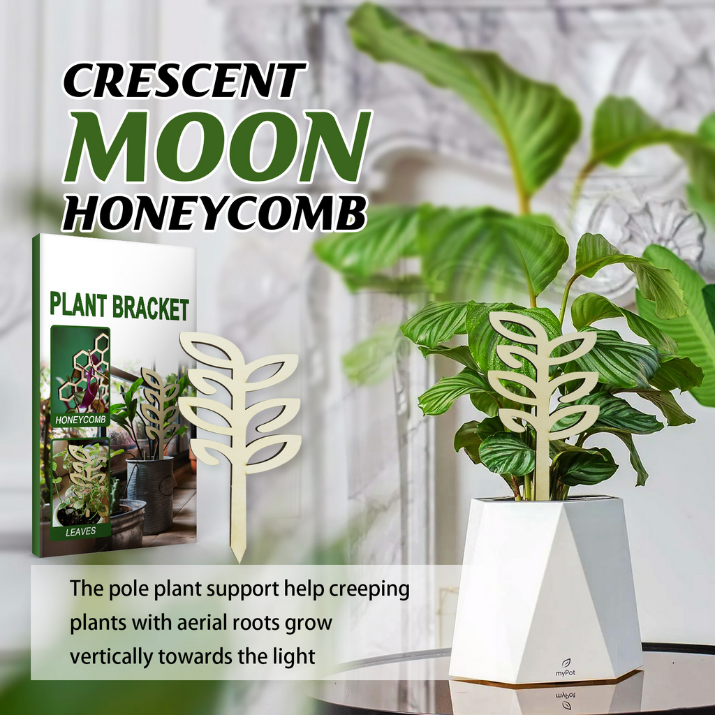 Wooden Plant Trellis for Potted Plants, 3 Pack Small Lattice Plant Support Frame for Climbing Vines, Ivy, Houseplants Indoor Garden Decor