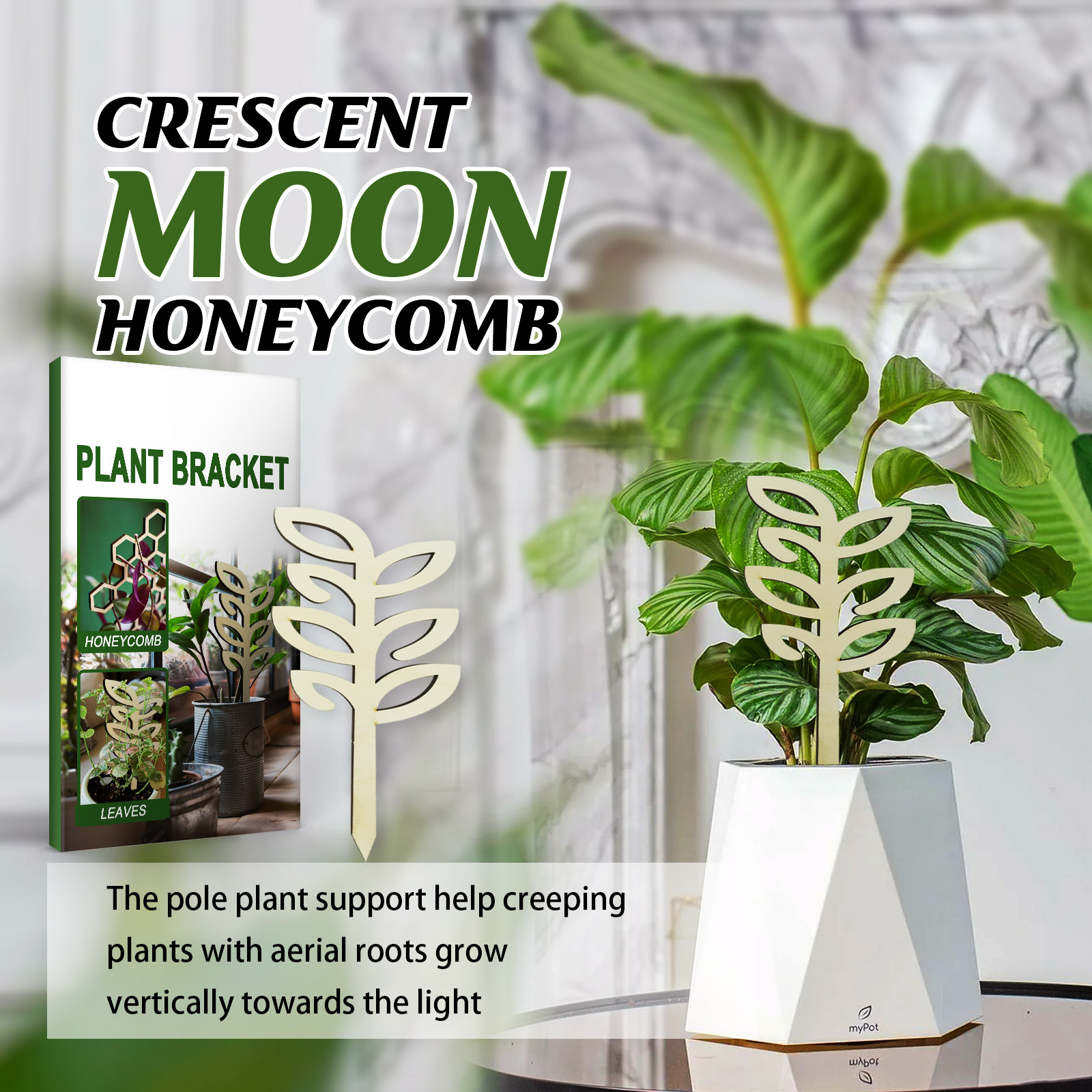Wooden Plant Trellis for Potted Plants, 3 Pack Small Lattice Plant Support Frame for Climbing Vines, Ivy, Houseplants Indoor Garden Decor