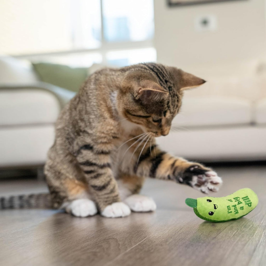 Catstages Crunchy Pickle Kicker Toy with Catnip and Dental Mesh, Pickle Shape, Plush and Crinkle Cat Toy for Kicking, Tossing, and Teeth Cleaning, Green