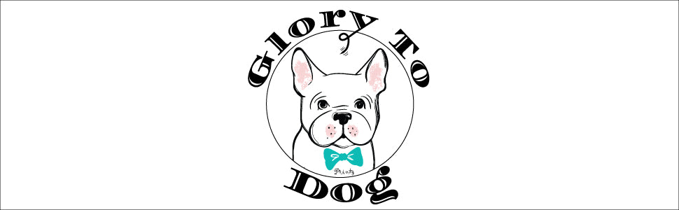 Glory To Dog Large Sherpa Plush Bunny Squeaky Interactive Fetch Dog Toy Stuffed with Fluff and Crinkly Floppy Ears for Medium to Large Breeds