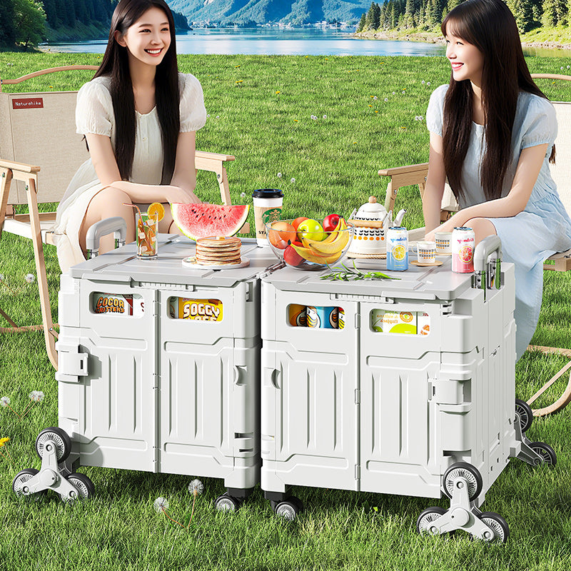 AEELLEEA Foldable Utility Cart with Lid, Portable Rolling Crate with Telescopic Handle & Stair Climbing Wheels, Collapsible Shopping Cart for Grocery, Picnic & Camping