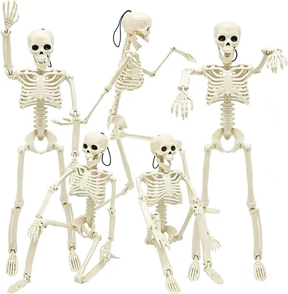 5 Pack 16" Posable Halloween Skeletons, Full Body Skeleton Props with Movable Joints for Haunted House Graveyard Decor