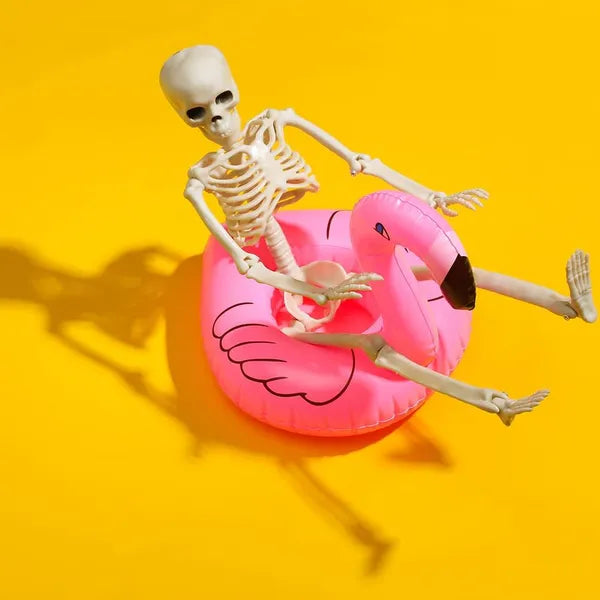 5 Pack 16" Posable Halloween Skeletons, Full Body Skeleton Props with Movable Joints for Haunted House Graveyard Decor