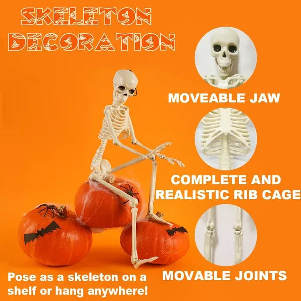 5 Pack 16" Posable Halloween Skeletons, Full Body Skeleton Props with Movable Joints for Haunted House Graveyard Decor