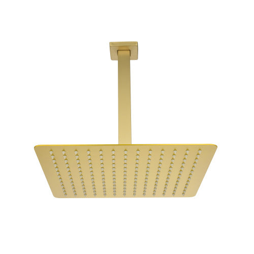 AEELLEEA 10 Inch Square Rain Shower Head with 7.9 Inch Ceiling Mount Arm, Brushed Gold Overhead Rainfall Shower for Bathroom