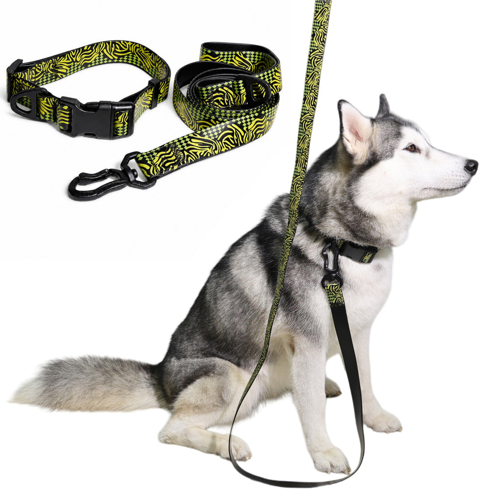 Tropical Print Dog Collar and Leash Set, Adjustable Quick Release Buckle Matching Pet Lead for Small Medium Large Dogs Walking