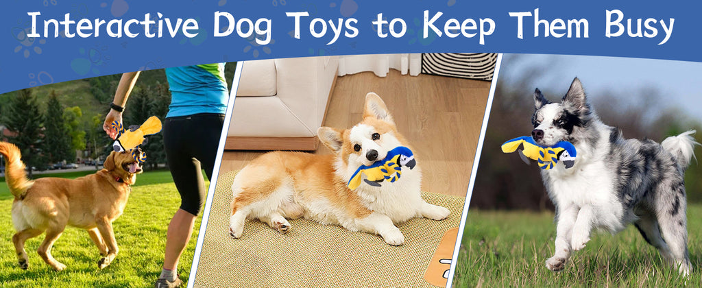 Squeaky Parrot Dog Toy with Rope Wings, Tug of War & Chew Interactive Plush Bird Toy for Small Medium Dogs, Indoor Puppy Play