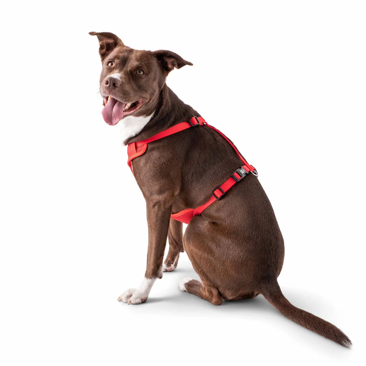Red XS Pet Travel Dog Harness, Adjustable Padded Car Safety Harness, Dual Use Vehicle Restraint & Daily Walking for Small Dogs