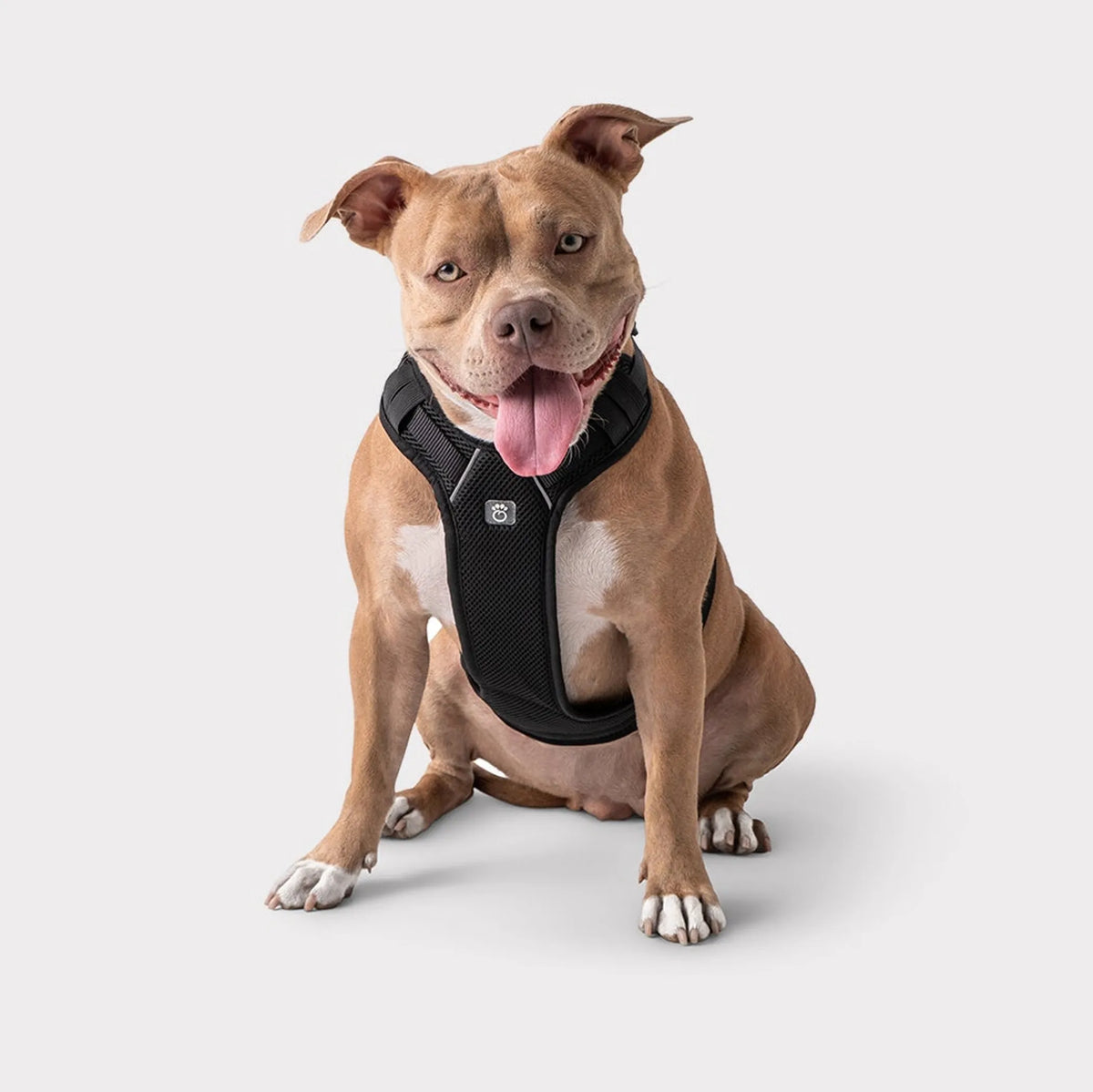 Pet Travel Dog Harness , Black XS Adjustable Safety Car Harness, Dual Use for Vehicle Travel & Daily Walking