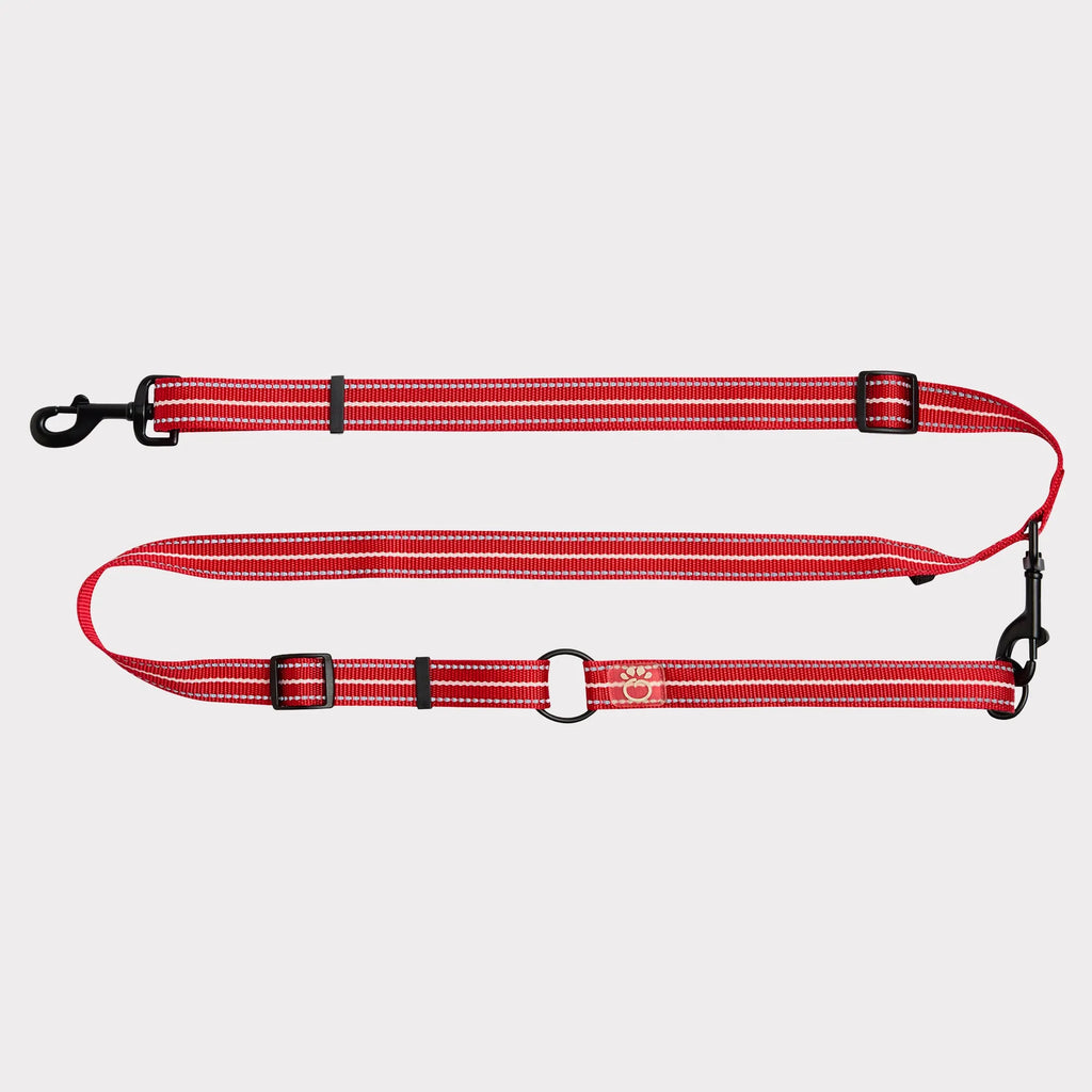 Red XS/Small Pet Reflective Dog Leash, Nylon Lead with Reflective Strip, Night Safety Walking Leash for Extra Small & Small Dogs