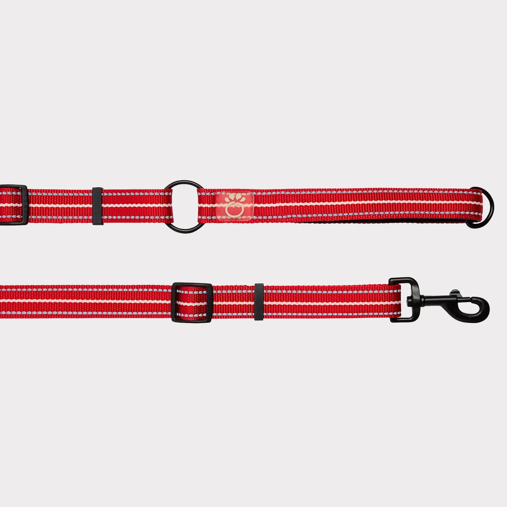 Red XS/Small Pet Reflective Dog Leash, Nylon Lead with Reflective Strip, Night Safety Walking Leash for Extra Small & Small Dogs