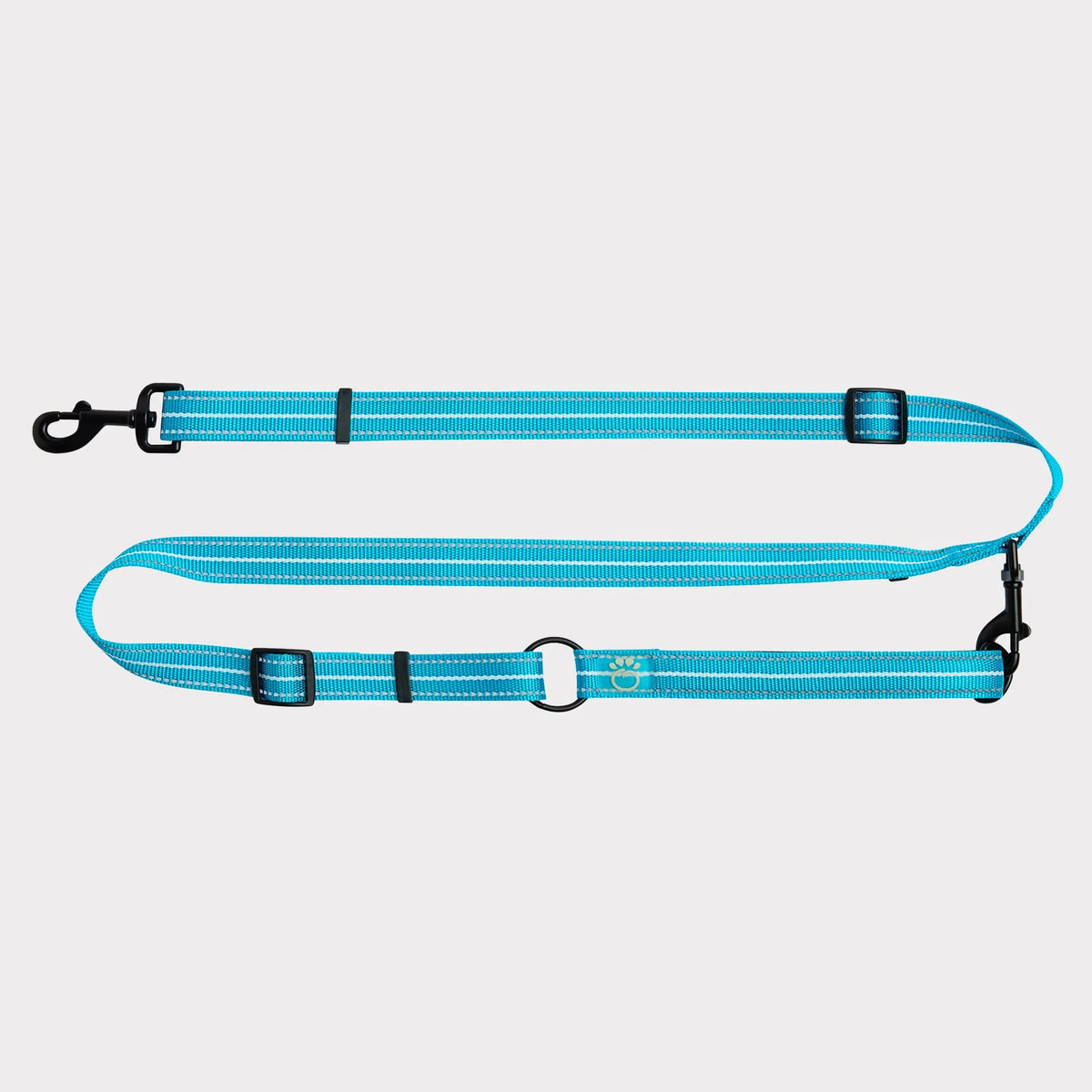 Neon Blue Medium/Large Pet Reflective Dog Leash, Heavy Duty Nylon Lead with Reflective Strip, Night Safety Walking Leash for Medium Large Dogs