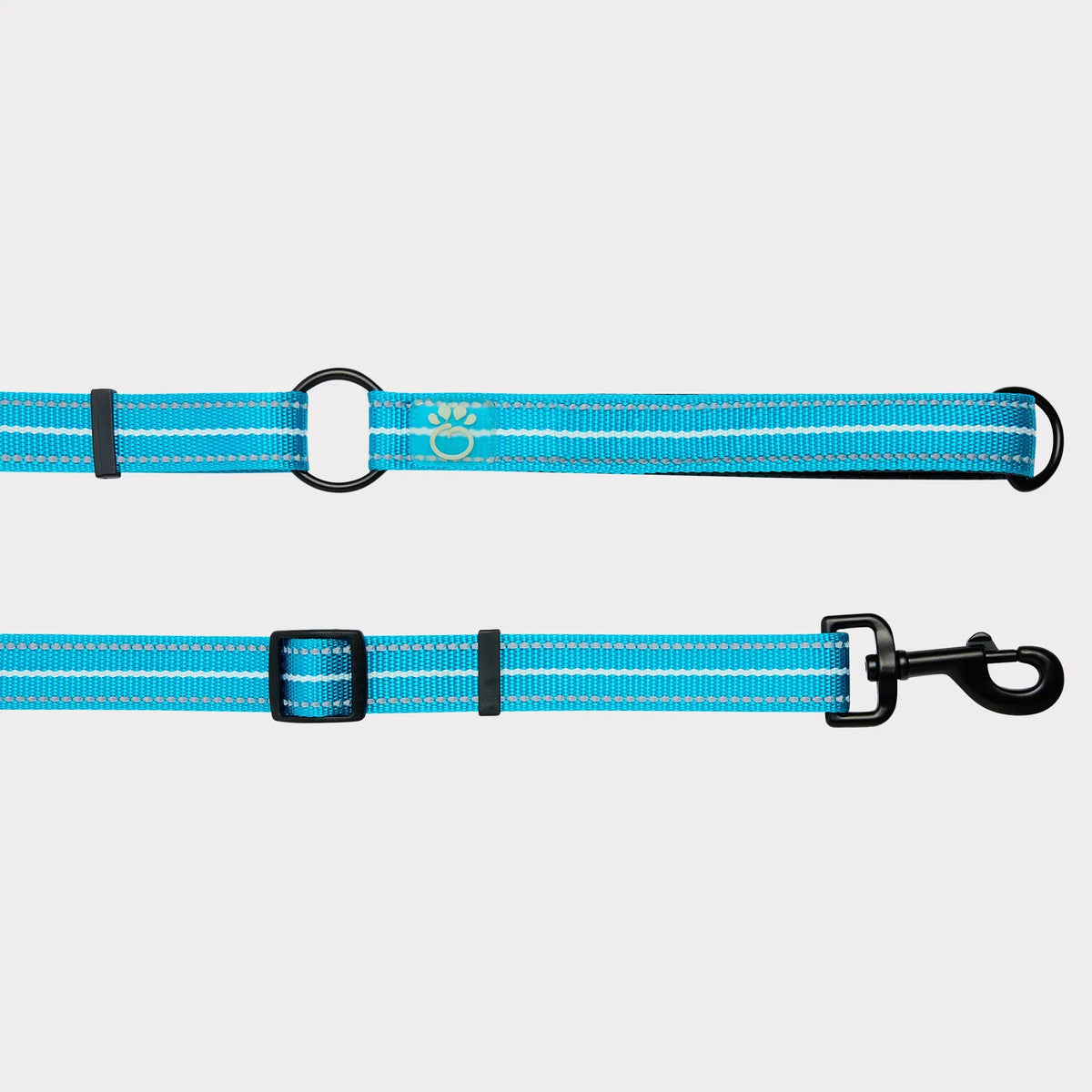 Neon Blue XS/Small Pet Reflective Dog Leash, Heavy Duty Nylon Lead with Reflective Strip, Night Safety Walking Leash for Small Dogs