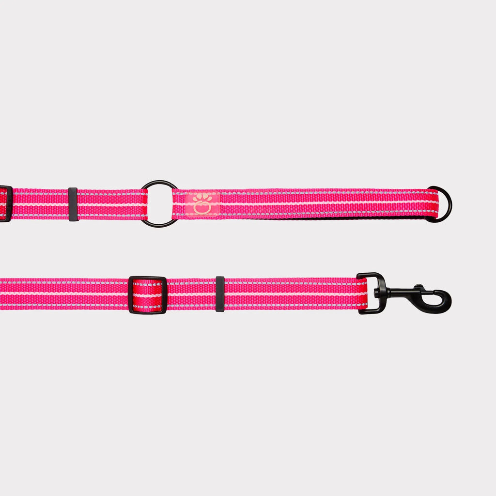 Neon Pink Medium/Large Pet Reflective Dog Leash, Heavy Duty Nylon Lead with Reflective Strip, Night Safety Walking Leash for Medium Large Dogs