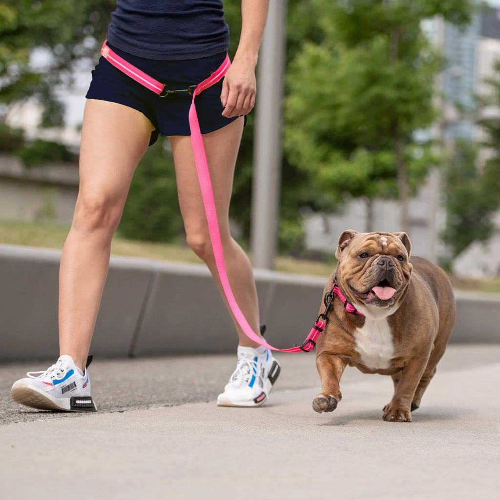 Neon Pink XS/Small Pet Reflective Dog Leash, Nylon Lead with Reflective Strip, Night Safety Walking Leash for Extra Small & Small Dogs