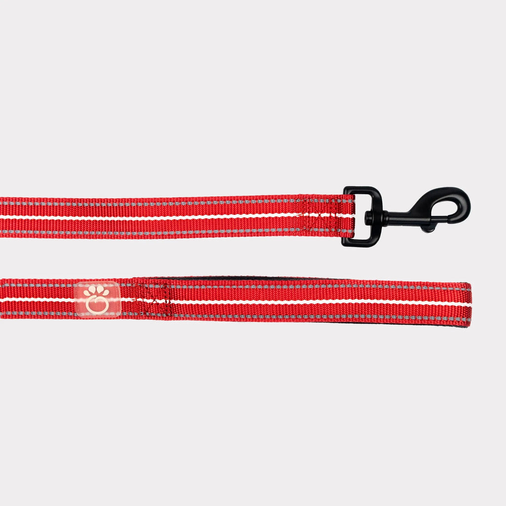 Fun Design Dog Leash, Lobster White Small, Cute Lobster Print Nylon Pet Lead, Padded Loop Handle, 5ft 1/2 Inch Width for Small Dogs