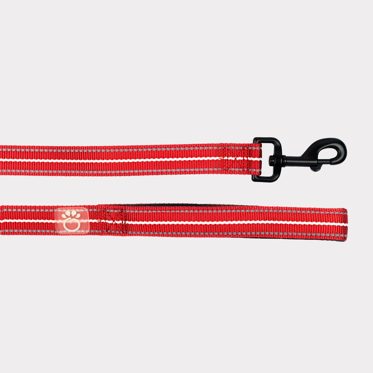Fun Design Dog Leash, Lobster White Small, Cute Lobster Print Nylon Pet Lead, Padded Loop Handle, 5ft 1/2 Inch Width for Small Dogs