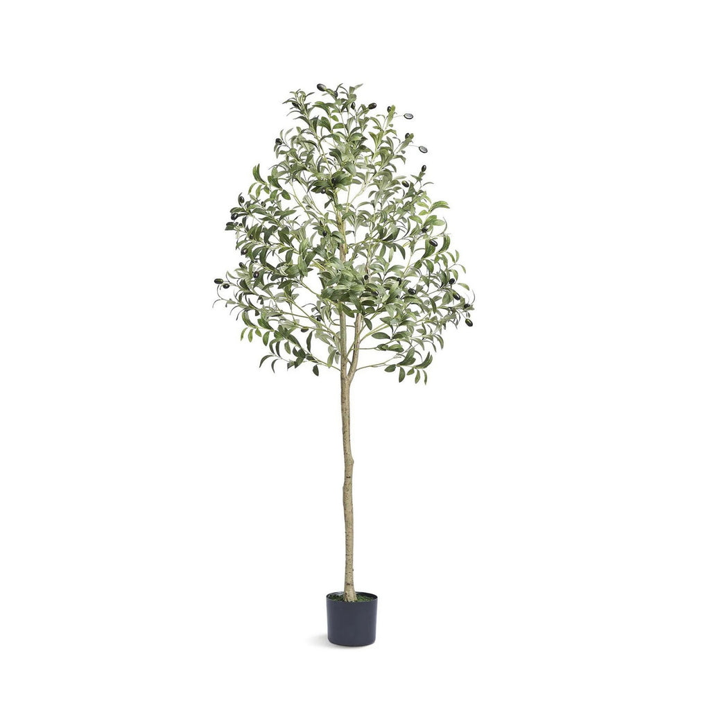 AEELLEEA 5FT Artificial Olive Tree, Faux Olive Plant with Fruits & Black Pot for Indoor Home Decor