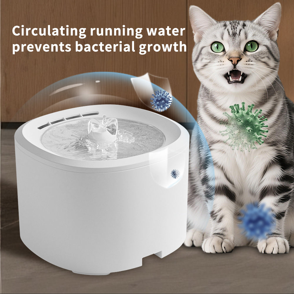 Cat Fountain | USB Powered Quiet Automatic Bowl | Cat Drinking Fountain Water Dispenser | for Kitten Puppy Dog Indoor Home Apartment Living Room Balcony