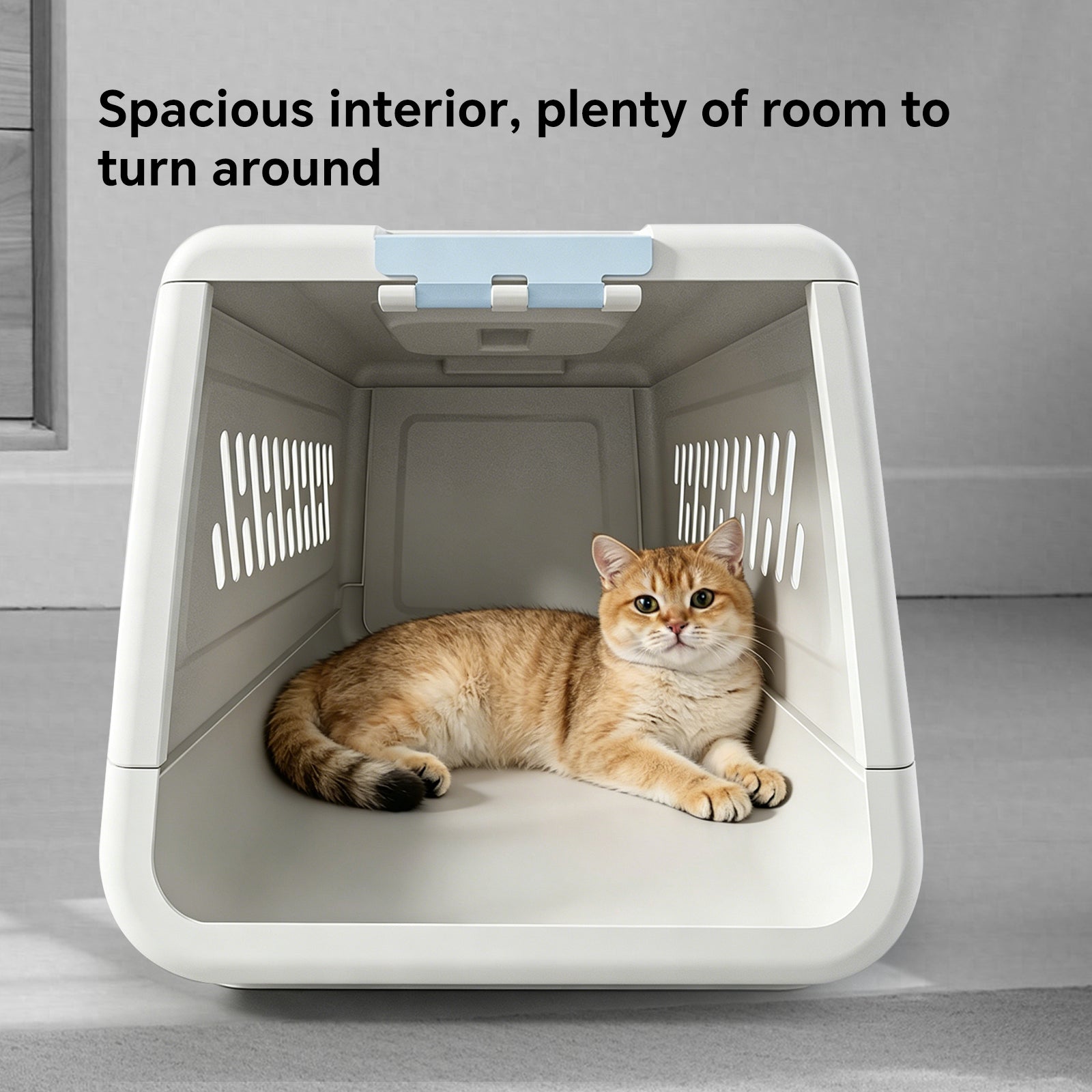 Small Hard Sided Pet Carrier, Portable Ventilated Travel Crate with Metal Door and Handle for Small Dogs and Cats, Perfect for Car Rides, Vet Visits and Daily Use