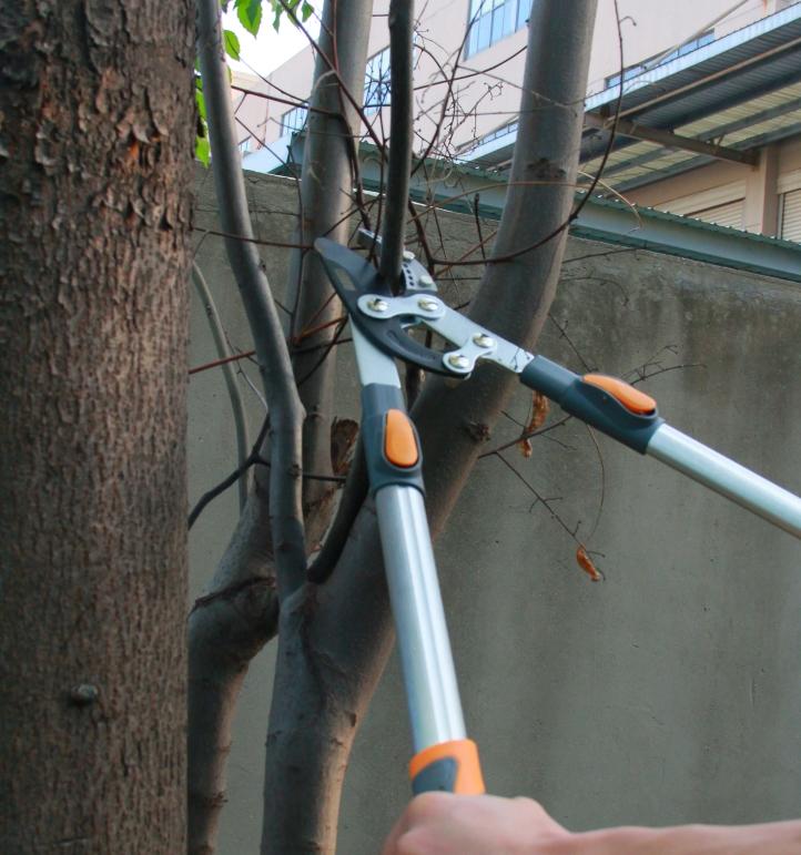 Telescoping Anvil Loppers, Heavy Duty Tree Trimmer, 27-41'' Adjustable Aluminum Handle, Pruning Loppers for Thick Branches up to 2 Inch